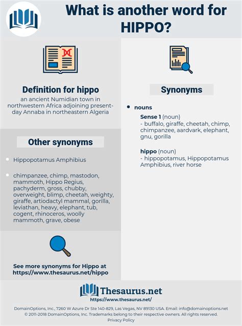 Find more similar words at wordhippo. . Hippo synonyms